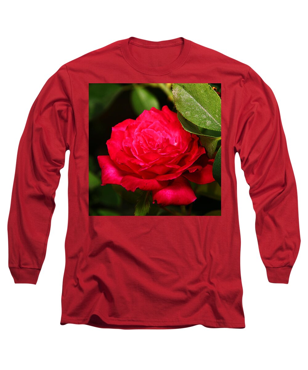 Flower Long Sleeve T-Shirt featuring the photograph Rose by Anthony Jones
