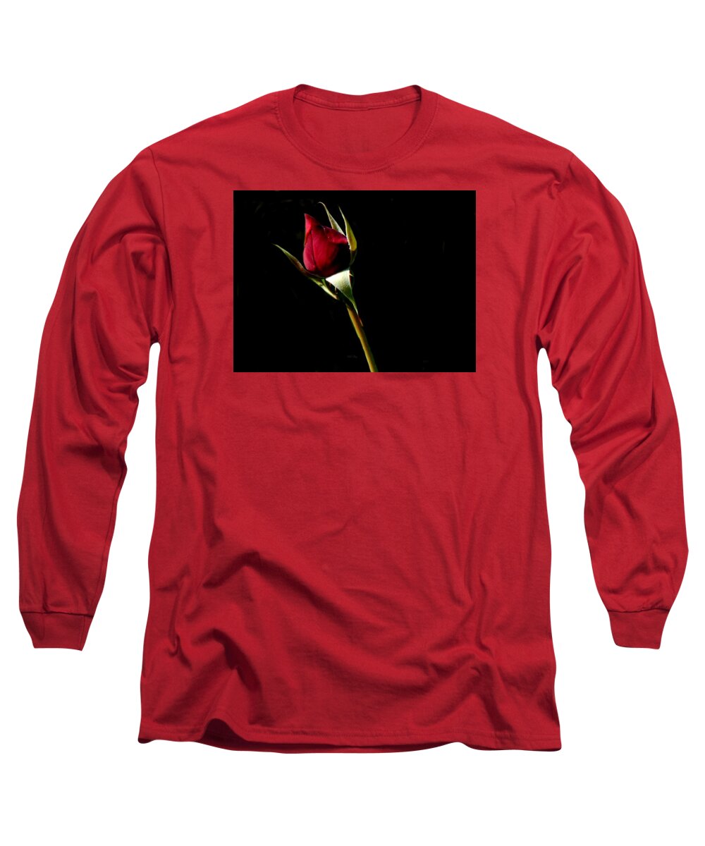Spring Long Sleeve T-Shirt featuring the photograph Rose Red by Wild Thing