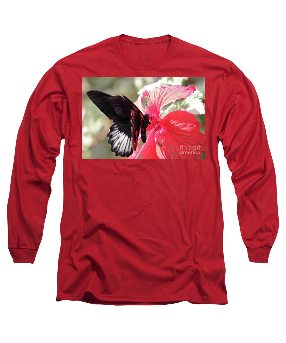 Scarlet Swallowtail Butterfly Feeds On A Tropical Flower Long Sleeve T-Shirt featuring the photograph Scarlet Swallowtail butterfly feeds on a tropical flower by Julia Gavin