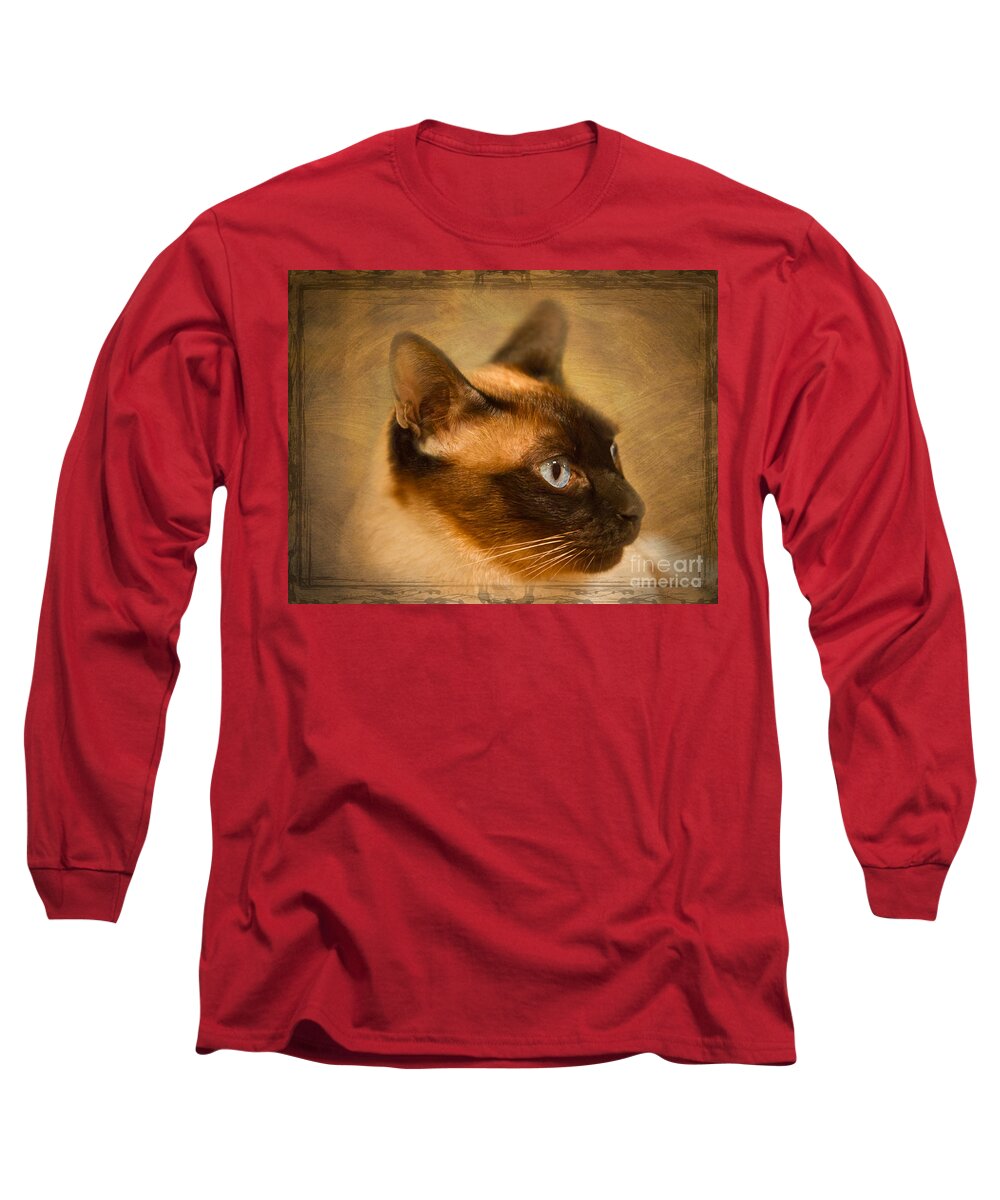 Siamese Long Sleeve T-Shirt featuring the photograph SUKI a beautiful Siamese Cat by Louise Heusinkveld