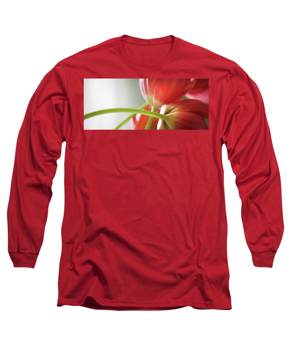 Floral Long Sleeve T-Shirt featuring the photograph Tulips In The Morning by Theresa Tahara