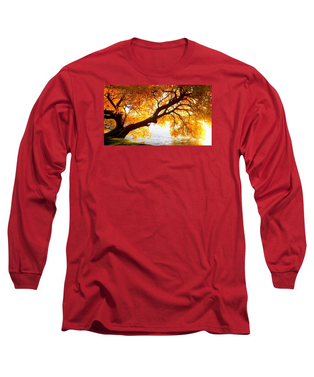 Autumn Long Sleeve T-Shirt featuring the photograph Under the Yellow Tree by Viviana Nadowski