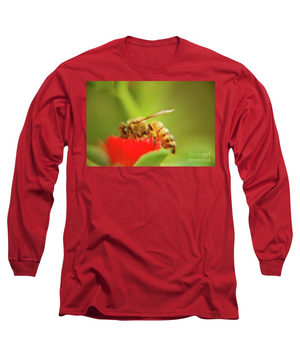 Macro Long Sleeve T-Shirt featuring the photograph Worker bee by Micah May