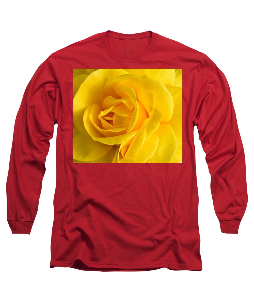 Yellow Long Sleeve T-Shirt featuring the photograph Yellow Rose by Jimmy Chuck Smith