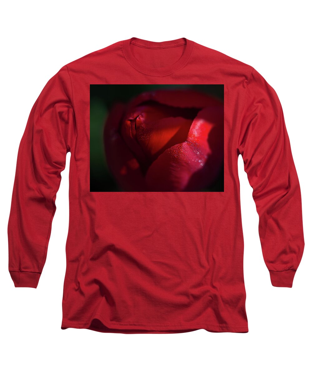 Chicago Botanic Gardens Long Sleeve T-Shirt featuring the photograph Dew Kissed Tulip by Lauri Novak