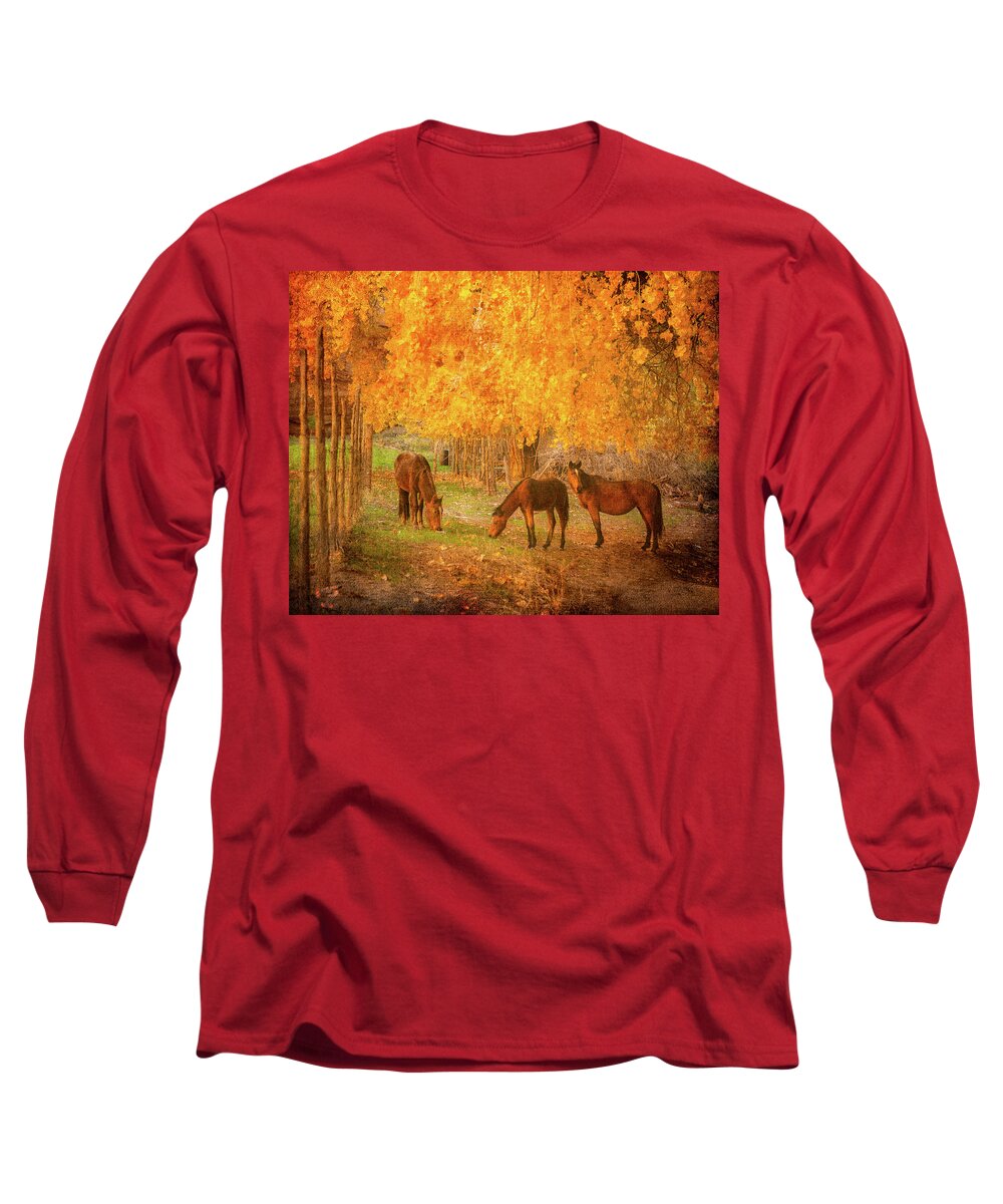 Az Long Sleeve T-Shirt featuring the photograph Dinner at the Golden Corral 1809 by Kenneth Johnson