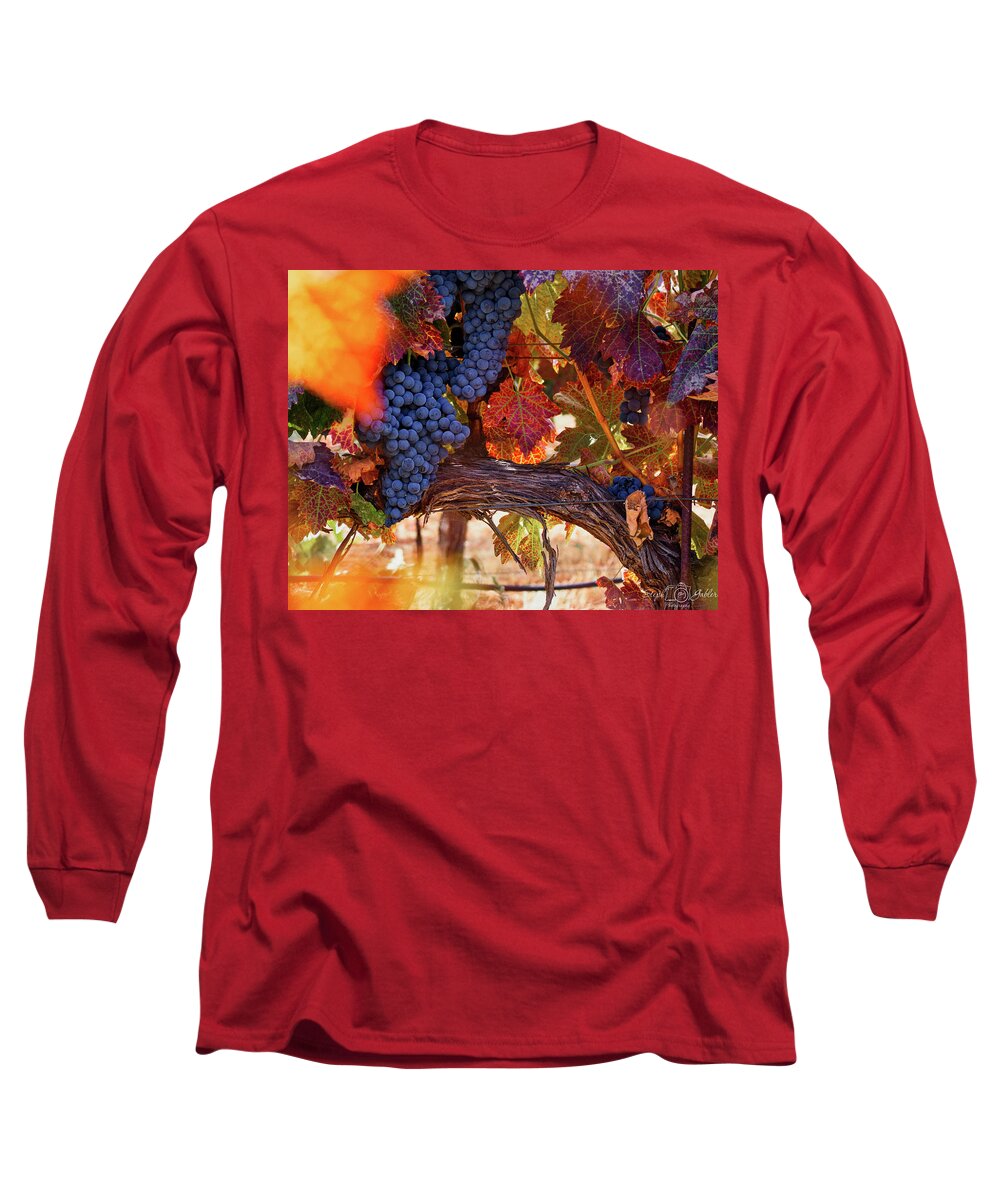 Vine Long Sleeve T-Shirt featuring the photograph On the Vine by Steph Gabler