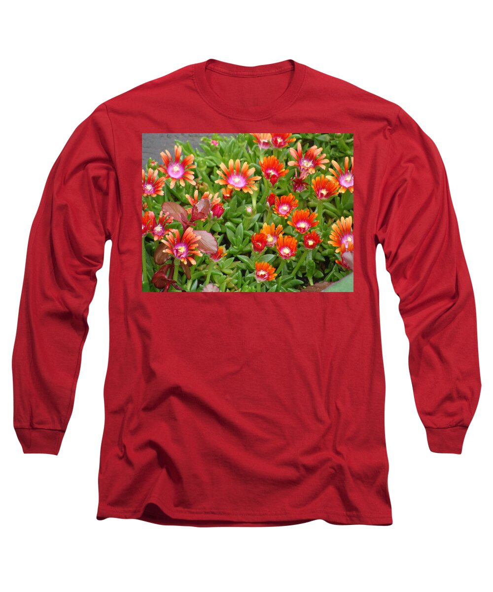 Flowers Long Sleeve T-Shirt featuring the mixed media Rainbow Spinner Ice Plant by Anthony Seeker