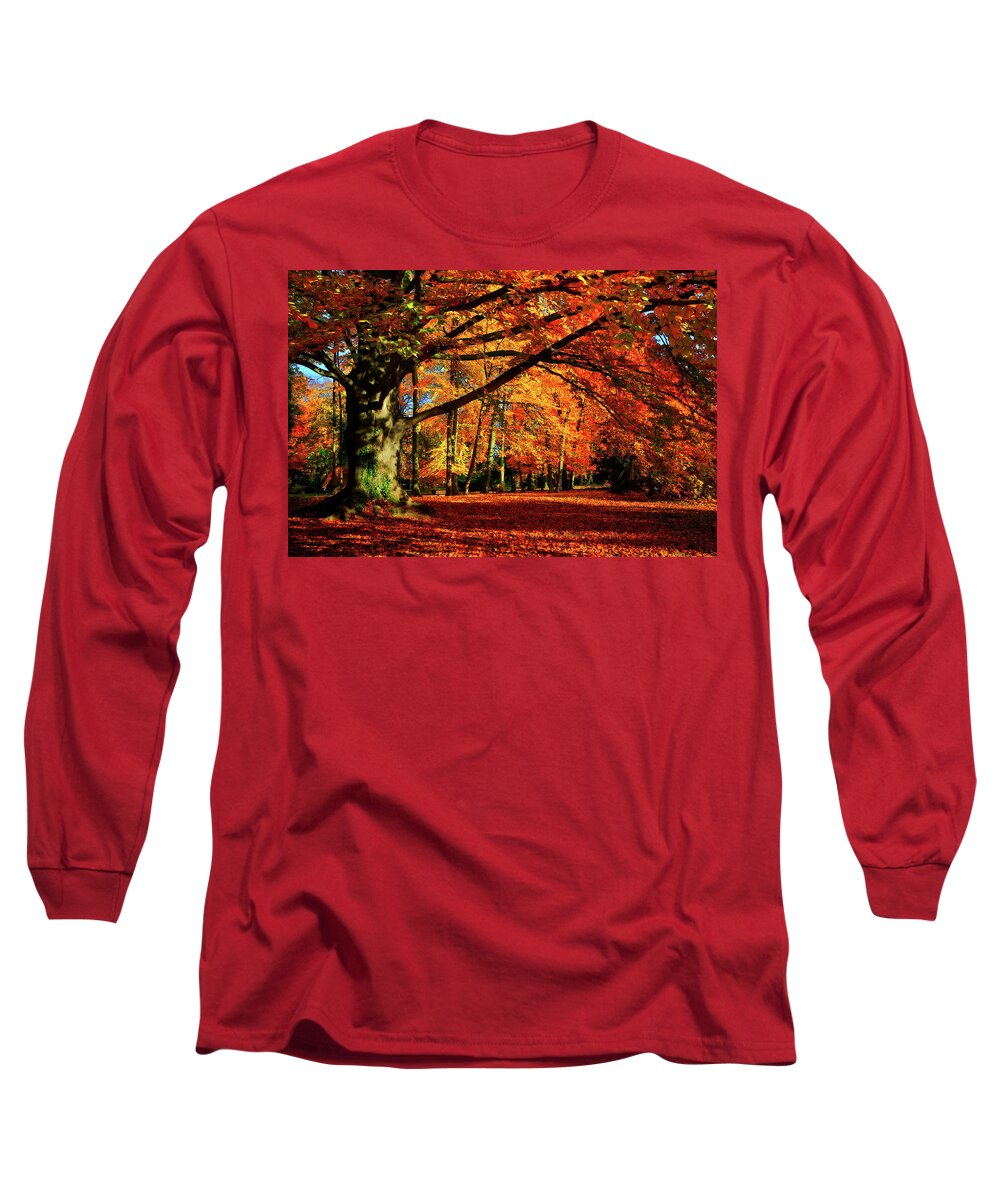 Autumn Long Sleeve T-Shirt featuring the photograph Red Autumn by Philippe Sainte-Laudy