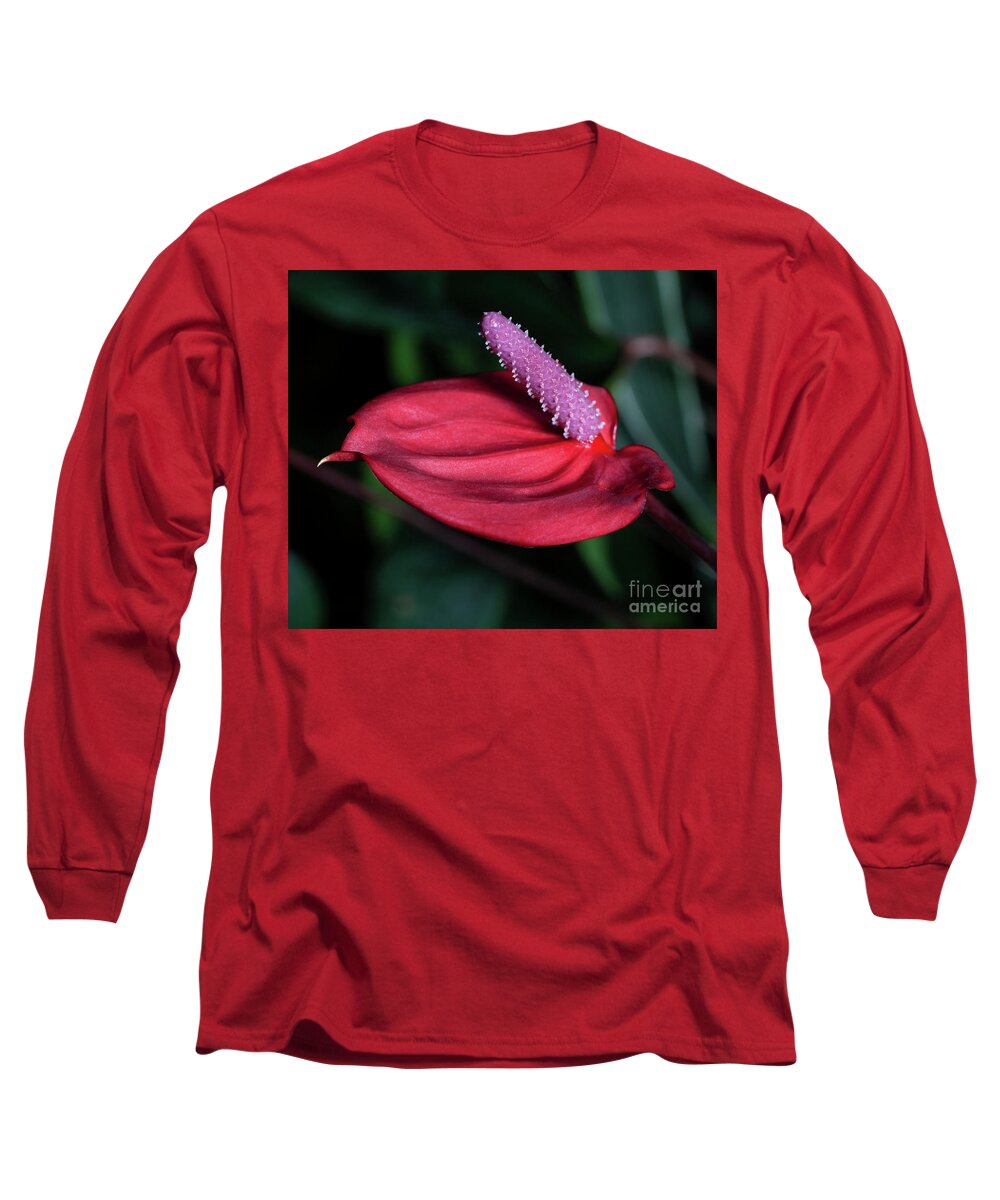 Anthurium Long Sleeve T-Shirt featuring the photograph Tantalizer by Doug Norkum