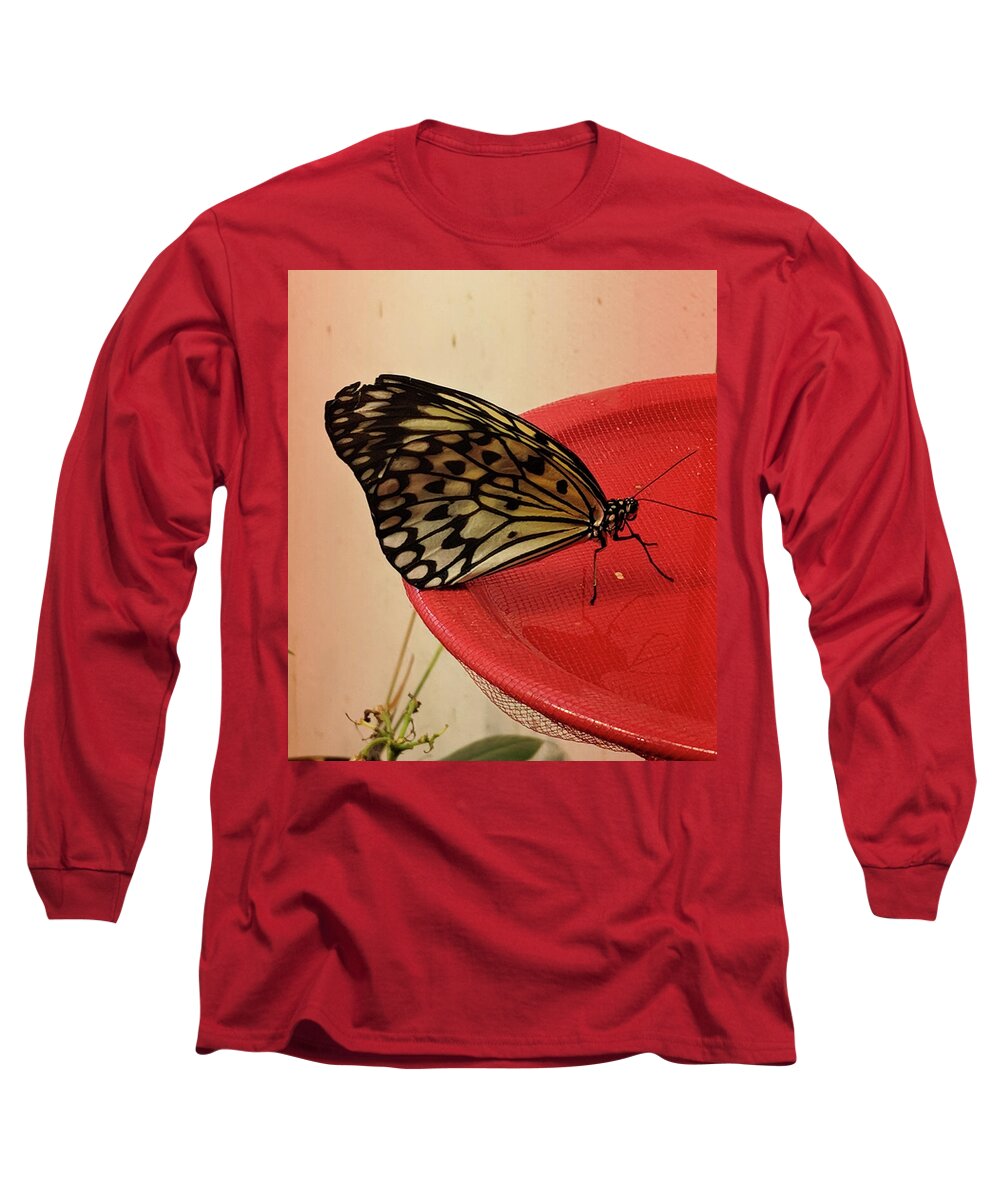 Butterfly Long Sleeve T-Shirt featuring the photograph Torn Butterfly by Portia Olaughlin