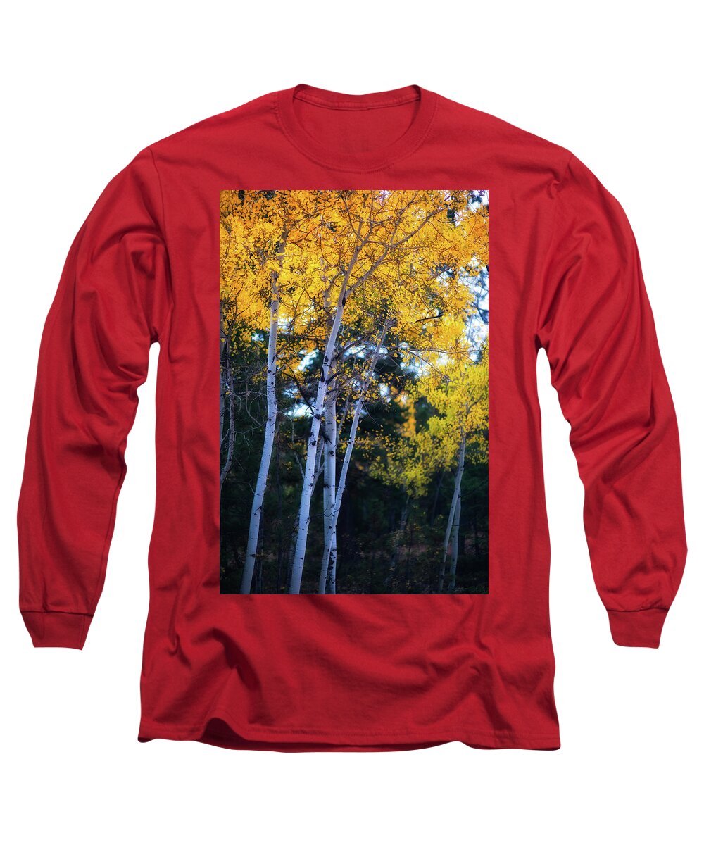 Co Long Sleeve T-Shirt featuring the photograph Fall colors, Colorado #3 by Doug Wittrock