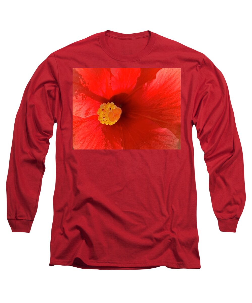 Flower Long Sleeve T-Shirt featuring the photograph Ardent Bloom Bringing Sunlight To The Feast Day Of Saint Simon The Zealot by Tiesa Wesen