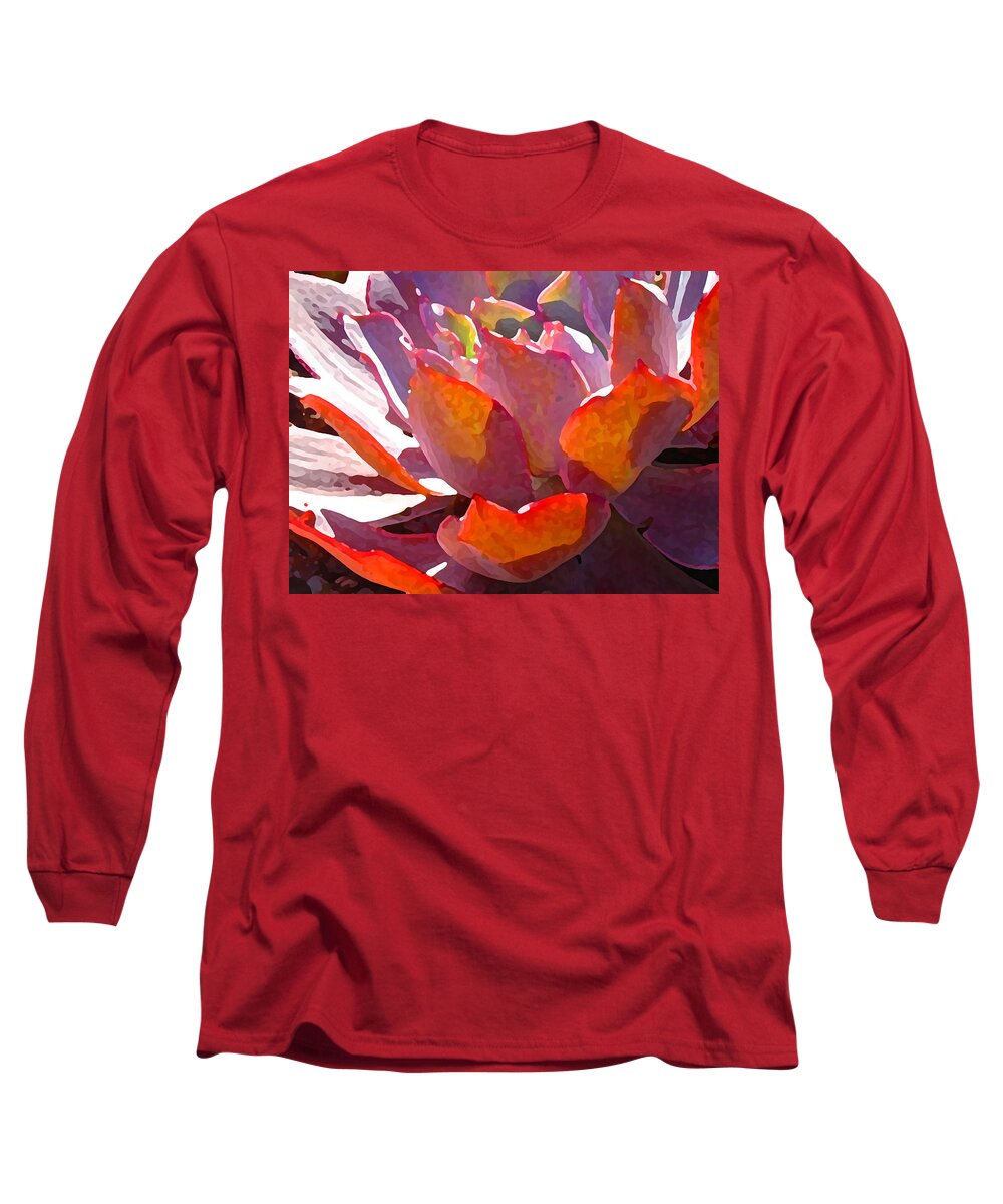 Succulent Long Sleeve T-Shirt featuring the photograph Backlit Afterglow Succulent by Amy Vangsgard