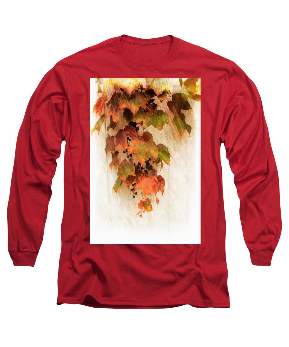  Leaves Long Sleeve T-Shirt featuring the photograph Boston Ivy by Marcia Lee Jones
