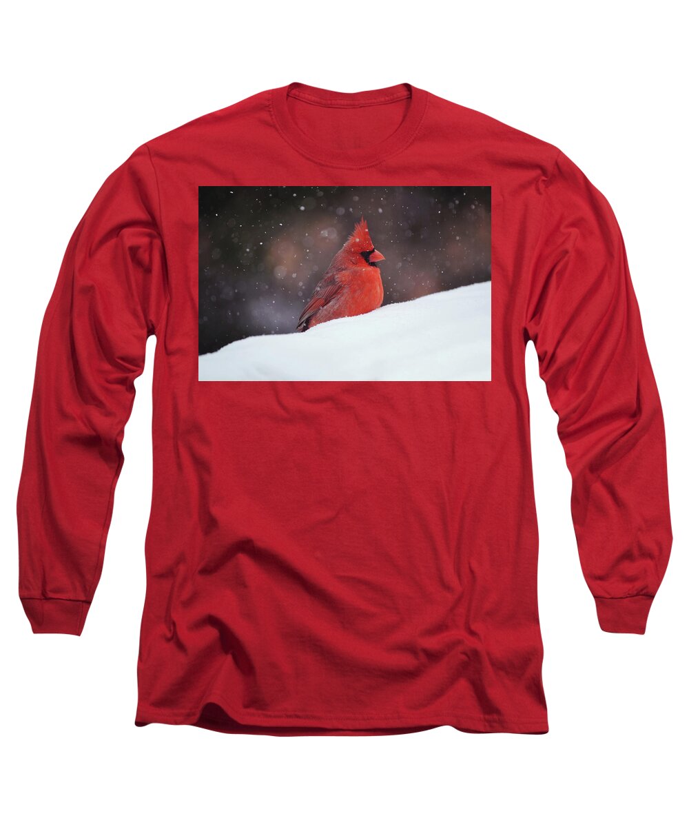 Bird Long Sleeve T-Shirt featuring the photograph Cardinal So its Snowing by Gaby Ethington