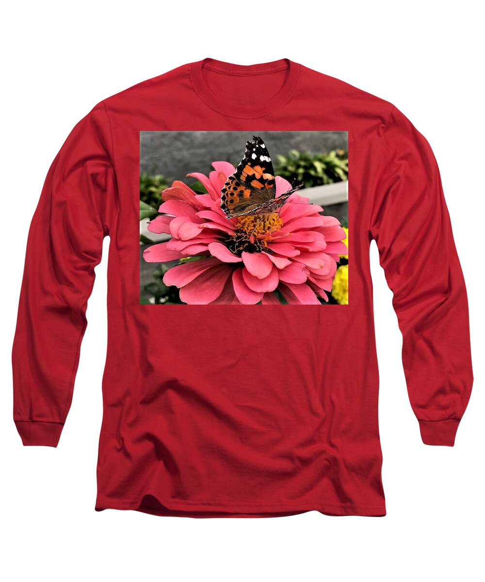 Butterfly. Zinnia. Flower Long Sleeve T-Shirt featuring the photograph Collecting Nectar by Bruce Bley