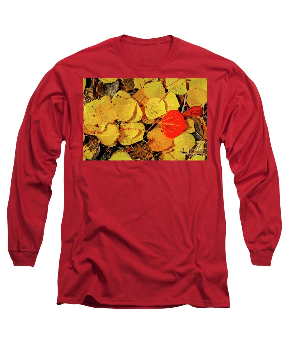 San Juan Mountains Colorado Long Sleeve T-Shirt featuring the photograph Red and Yellow by Bob Phillips
