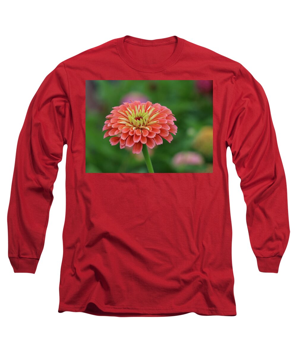 Garden Long Sleeve T-Shirt featuring the photograph Coral Crush by Mary Anne Delgado