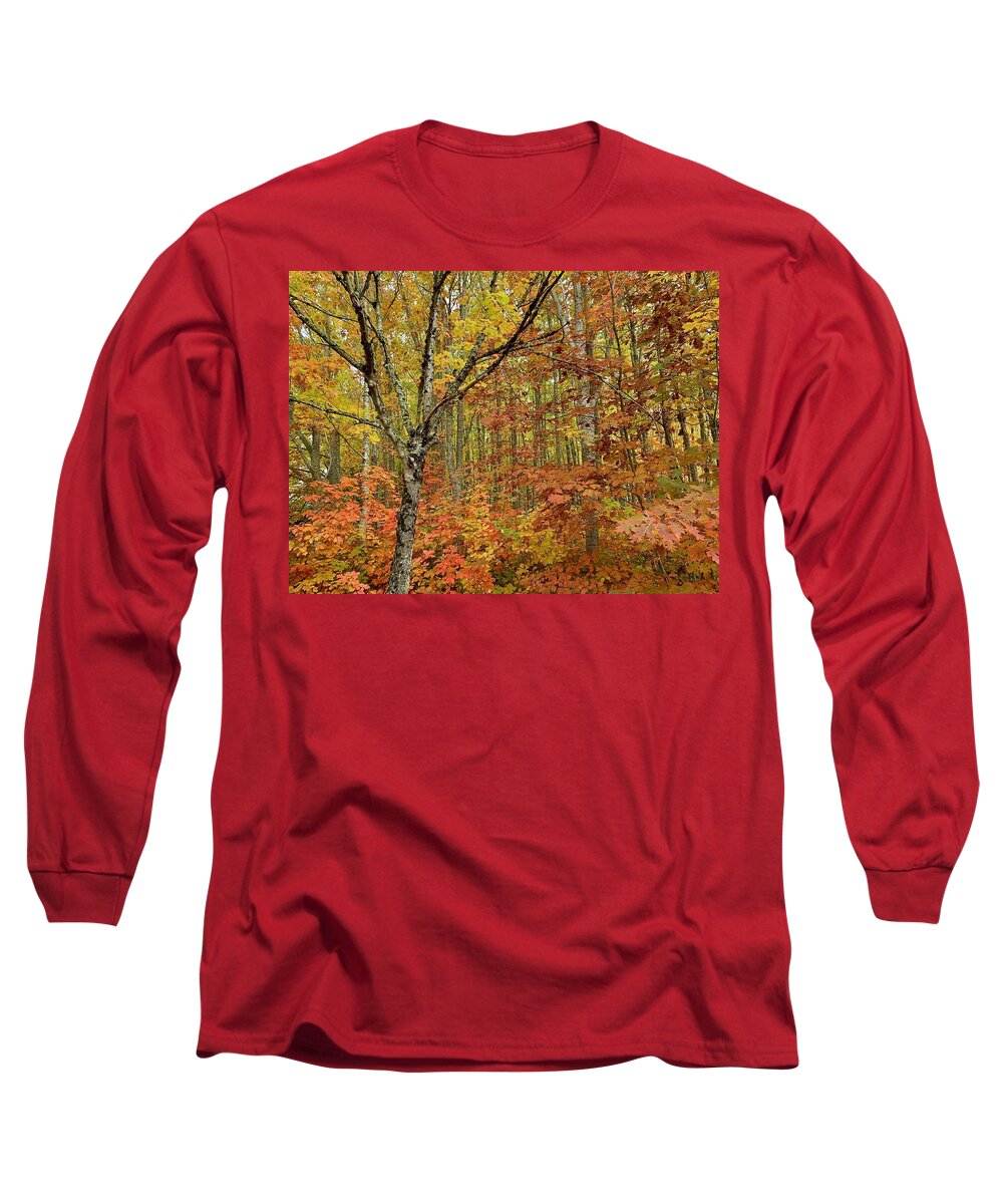 Forest Long Sleeve T-Shirt featuring the photograph Fall Forest by Brian Eberly