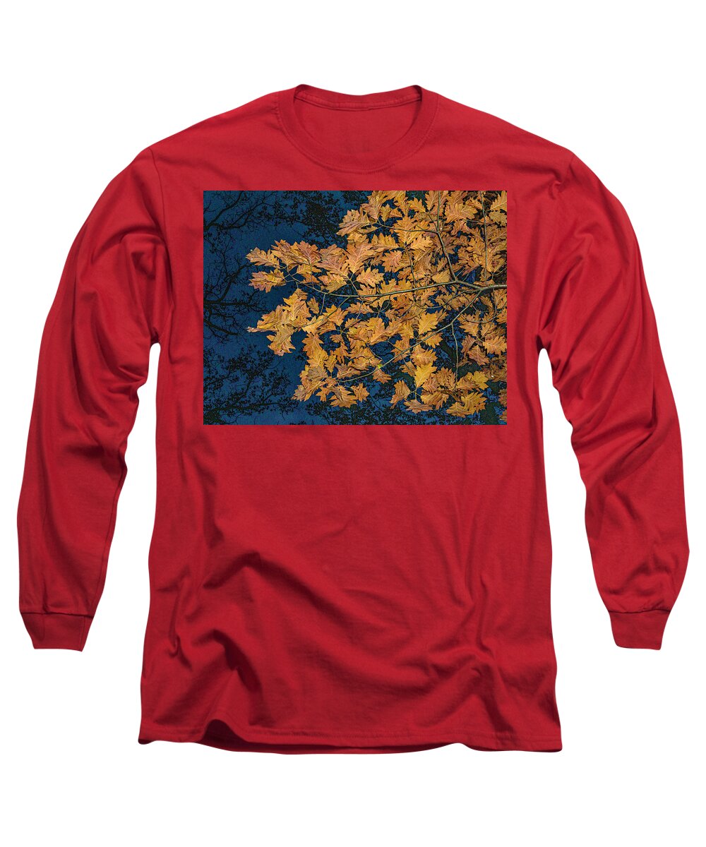 Fall Leaves Night Zion Illinois Autumn Golden Dark Blue Sky Long Sleeve T-Shirt featuring the photograph Fall Leaves at Night - Zion, Illinois by David Morehead