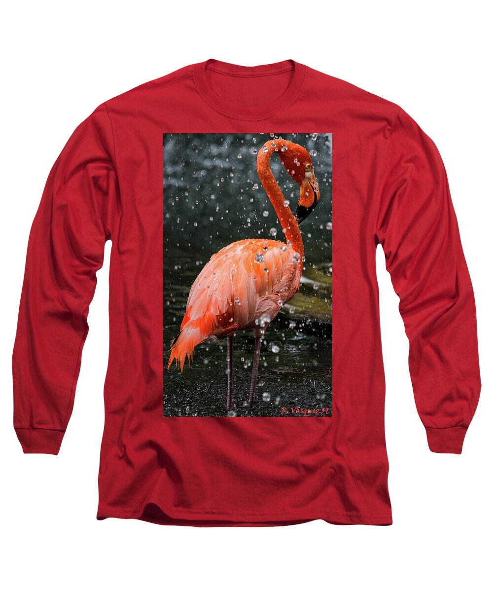 Bird Long Sleeve T-Shirt featuring the photograph Flamingo In Water by Rene Vasquez