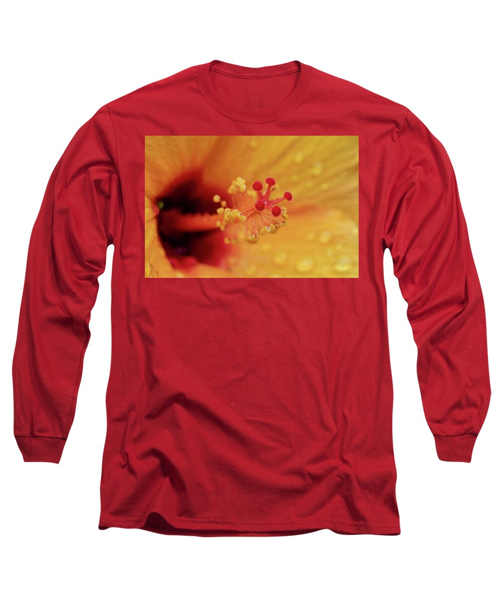 Flowers & Plants Long Sleeve T-Shirt featuring the photograph Focus on what is important. by Adam Johnson