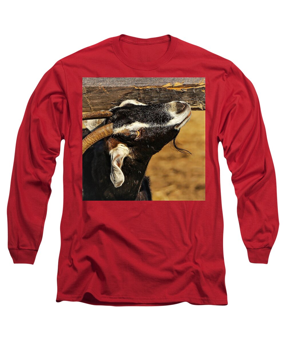 Goat Horns Fence Wood Close Long Sleeve T-Shirt featuring the photograph Goat by John Linnemeyer