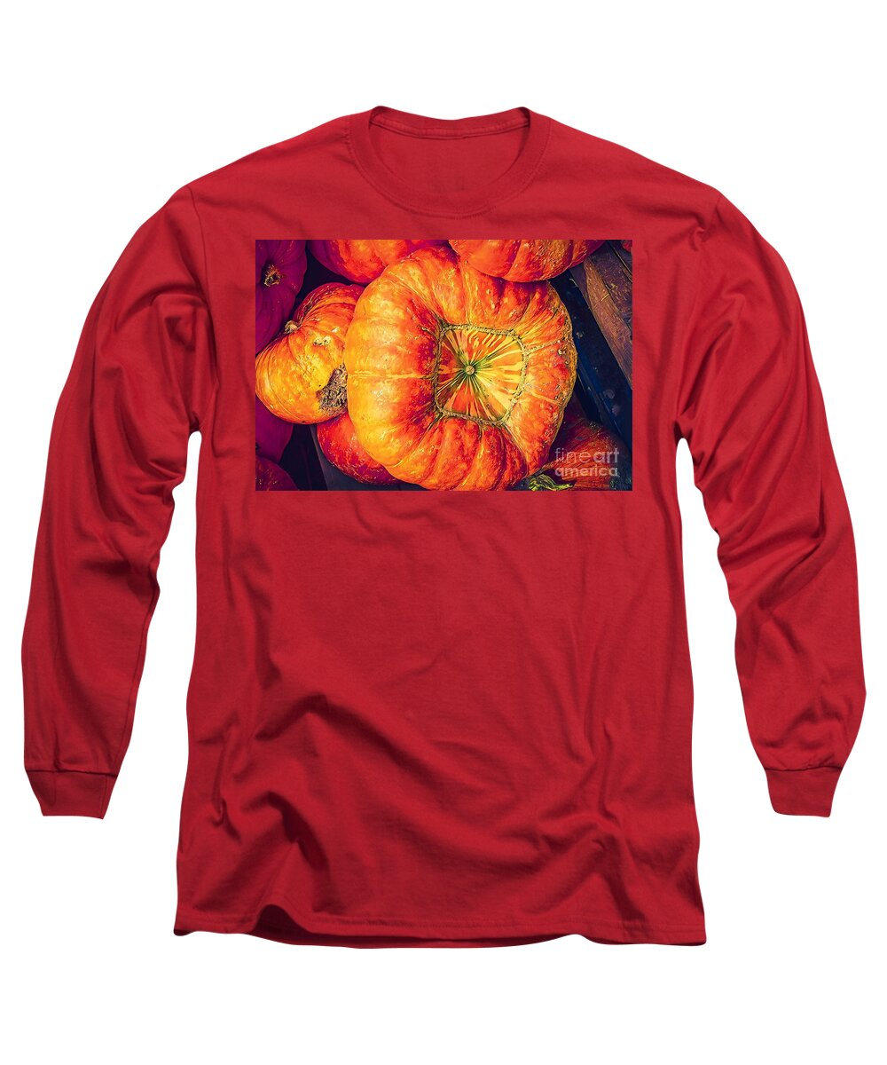 Pumpkin Long Sleeve T-Shirt featuring the photograph Harvest Pumpkin by Susan Vineyard