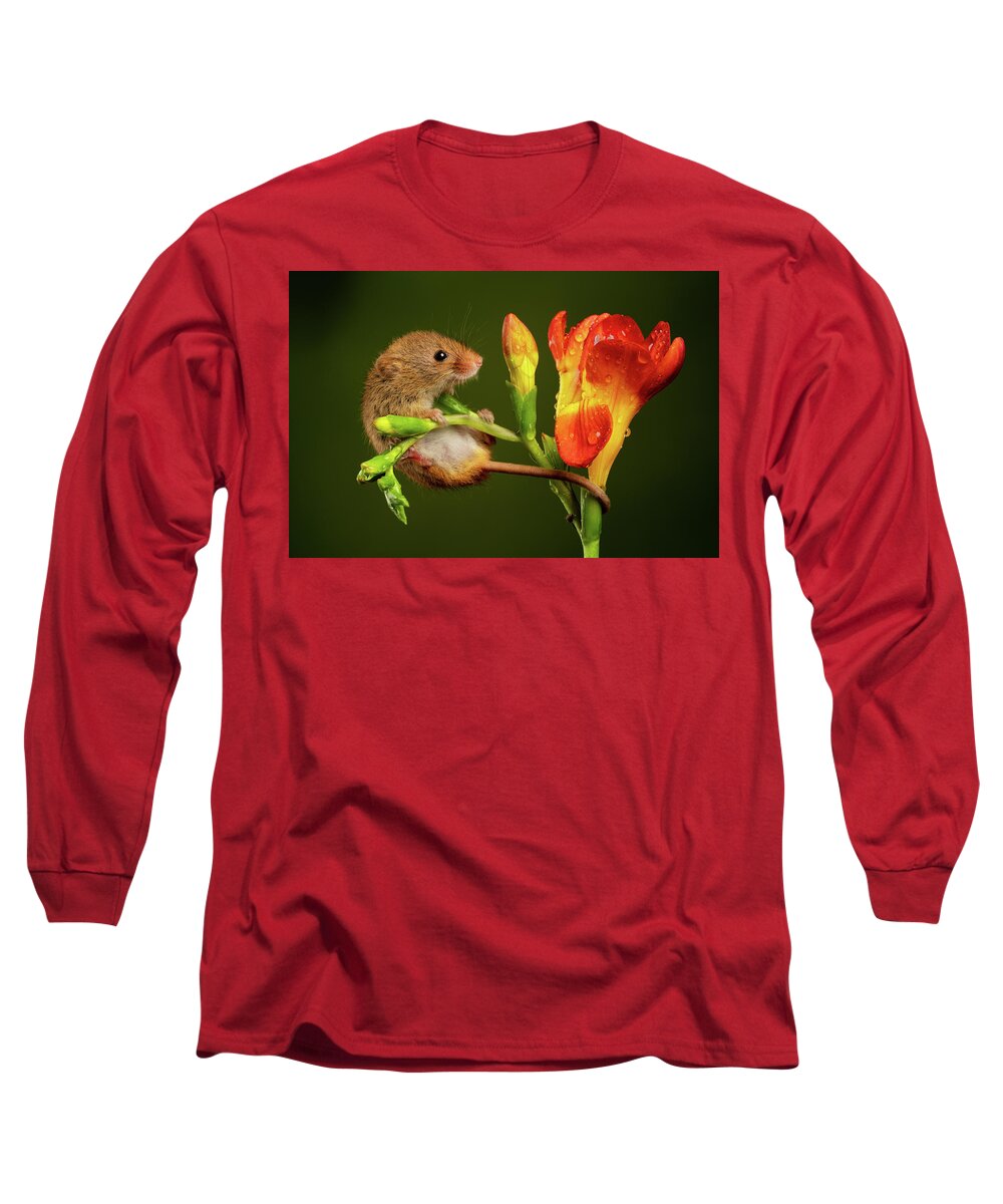 Harvest Long Sleeve T-Shirt featuring the photograph Hm-05377 by Miles Herbert