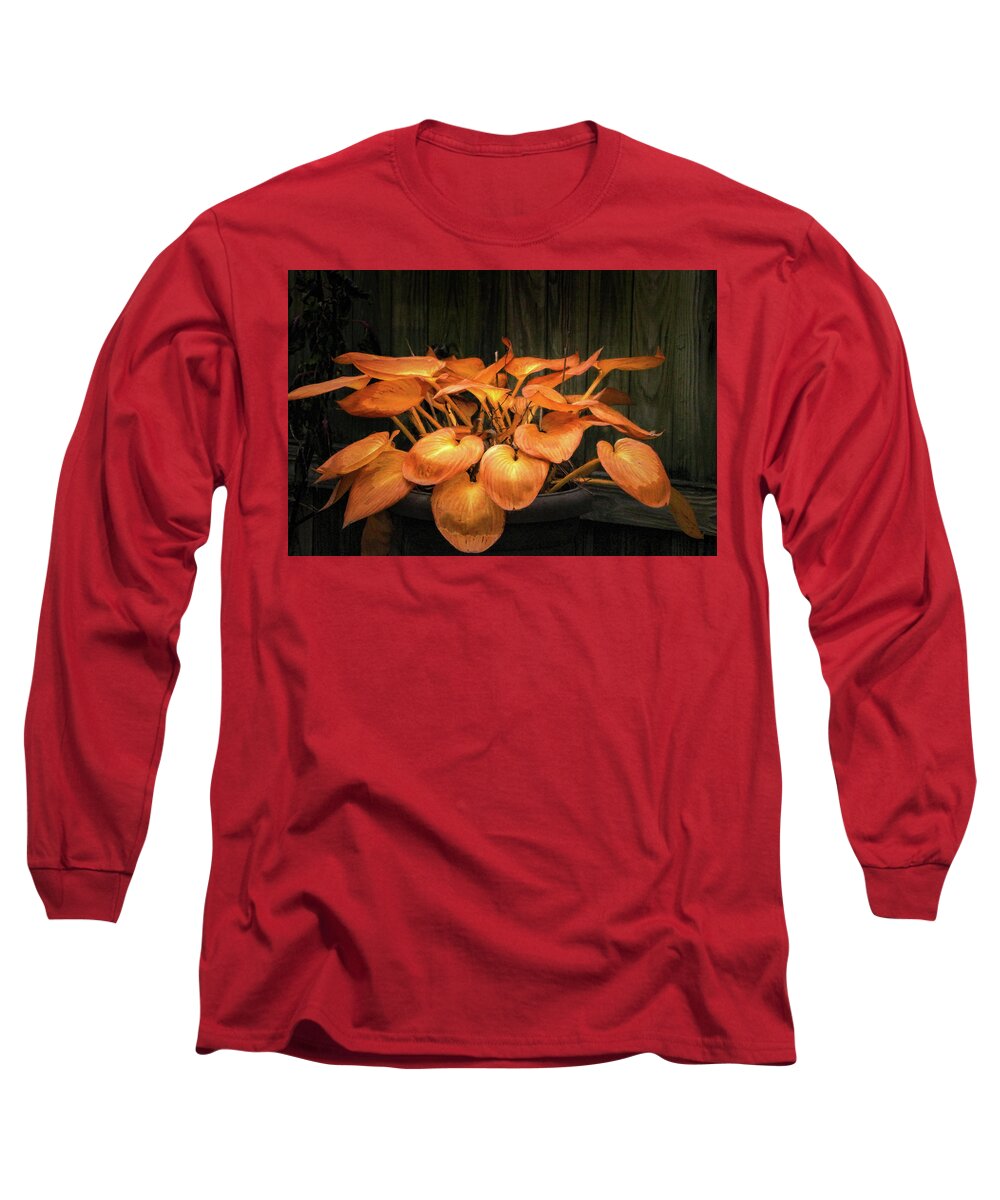 Hosta Long Sleeve T-Shirt featuring the photograph Hosta Plant After the Frost by Ola Allen