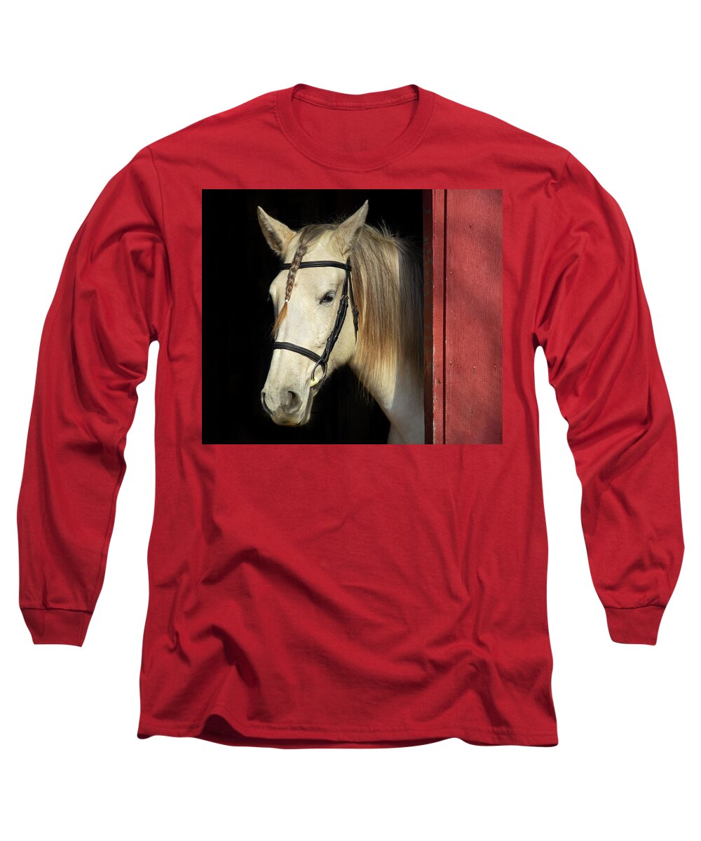 Andalusian Long Sleeve T-Shirt featuring the photograph French Braid by Art Cole