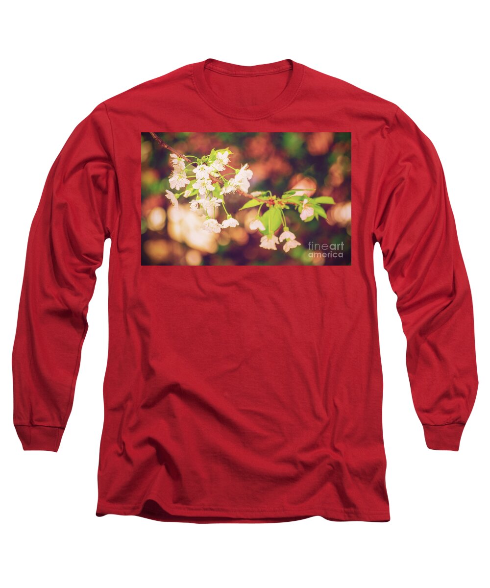 Wild Cherry Long Sleeve T-Shirt featuring the photograph Magical bokeh close up of a blooming sweet cherry tree by Mendelex Photography