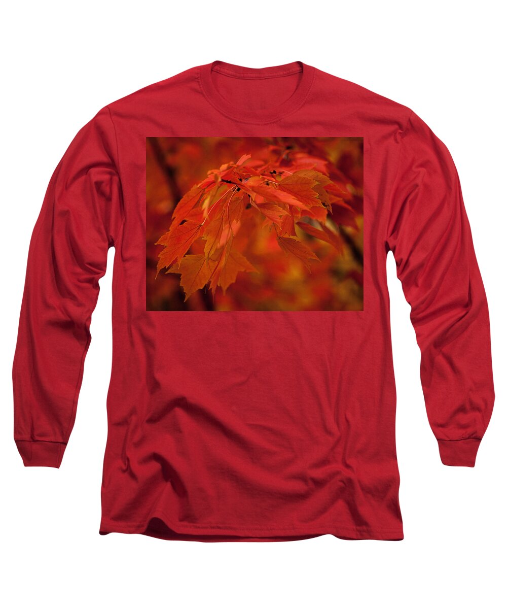 Autumn Long Sleeve T-Shirt featuring the photograph Maple Leaves I by Norman Reid