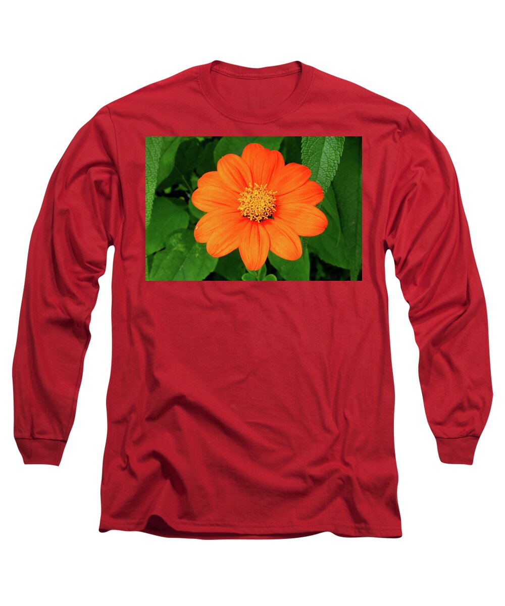 Flower Long Sleeve T-Shirt featuring the photograph Mexican Sunflower by Brian Weber