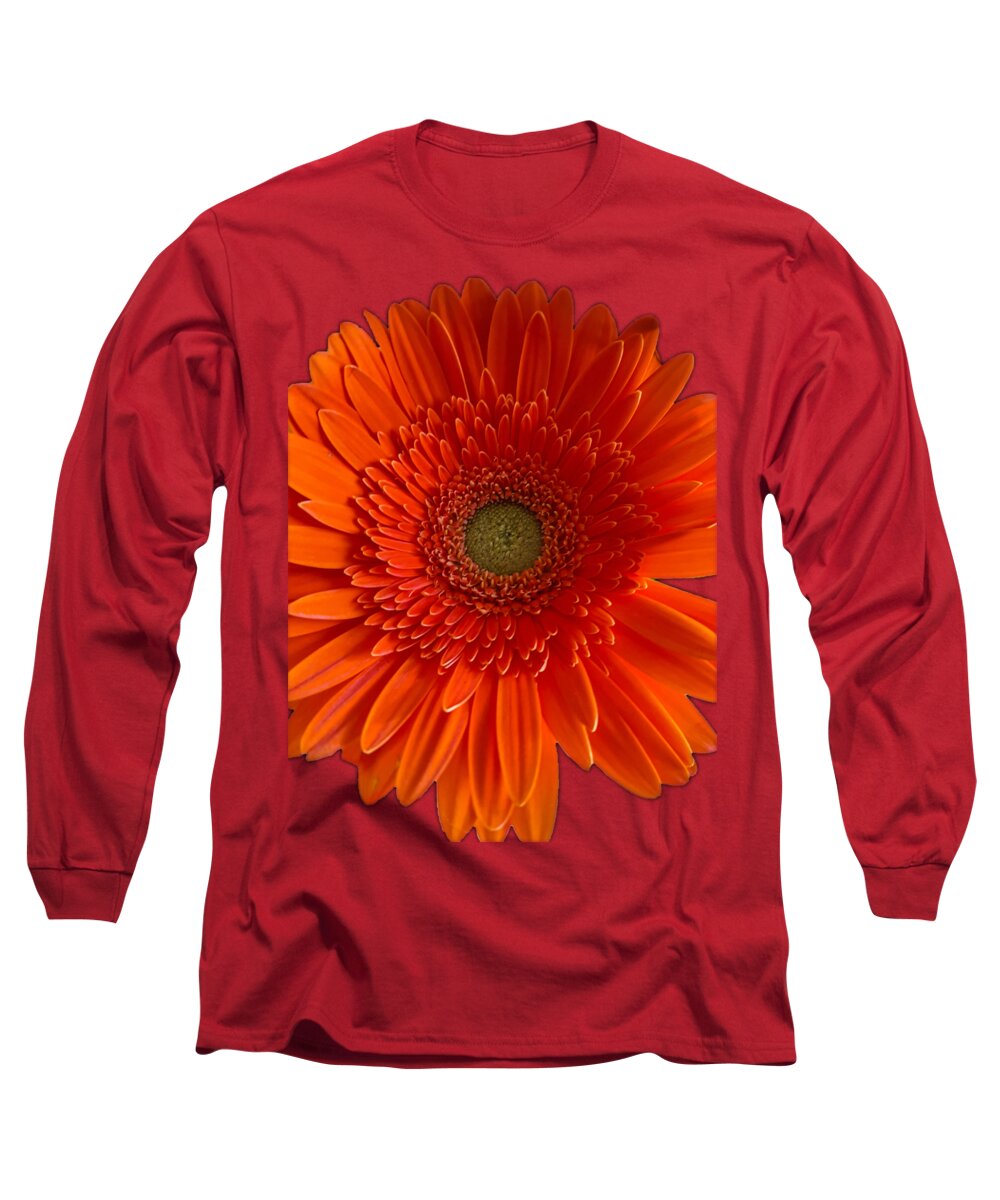 Daisy Long Sleeve T-Shirt featuring the photograph Orange Gerbera Daisy with Black Background by Tony Baca