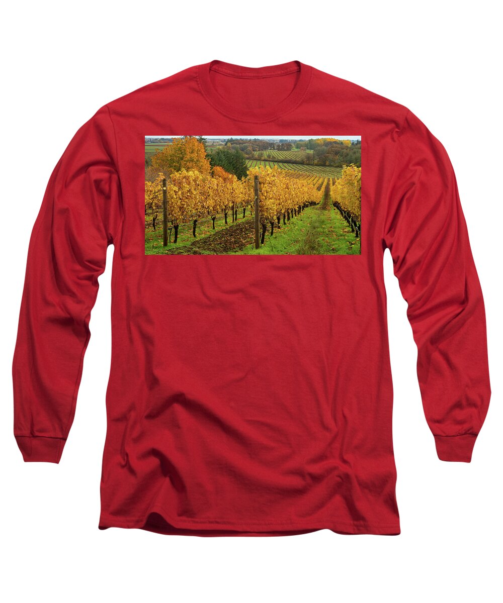 Vineyard Long Sleeve T-Shirt featuring the photograph Patterns of Fall in the Vineyard by Leslie Struxness