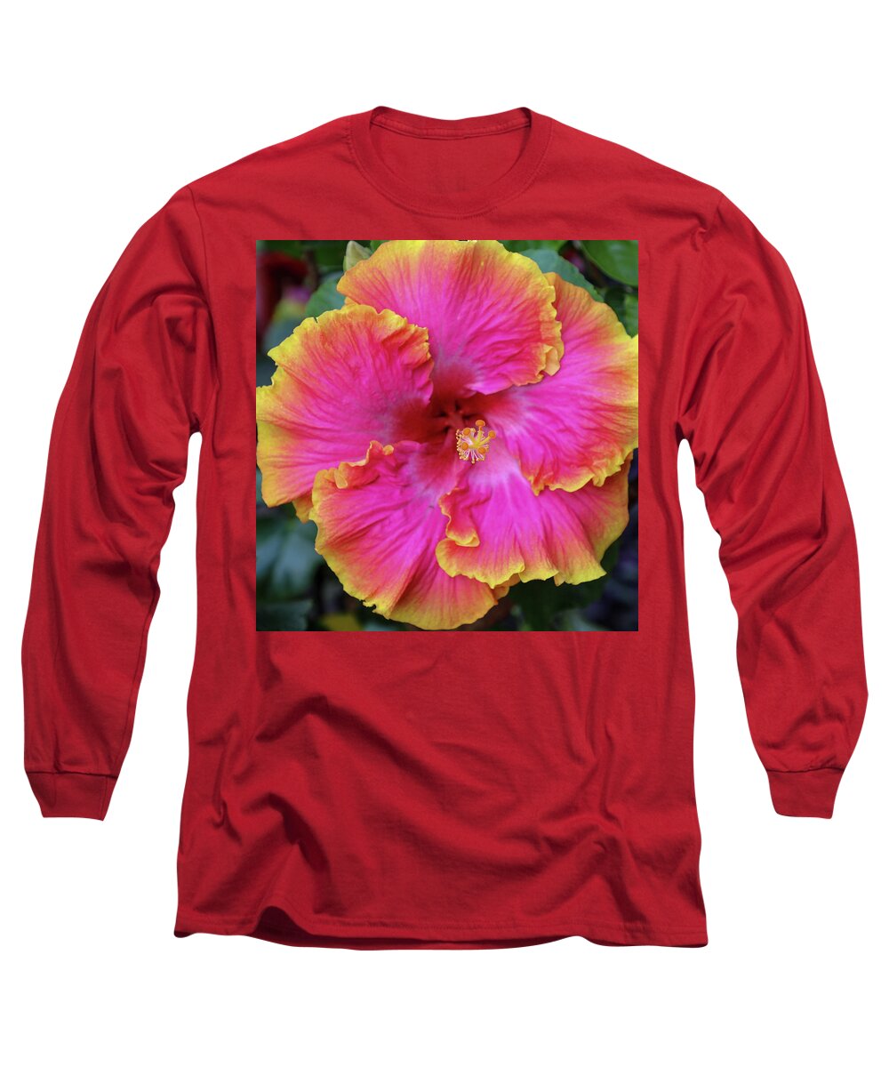 Flowers Long Sleeve T-Shirt featuring the photograph Pinksplosion by Tony Spencer