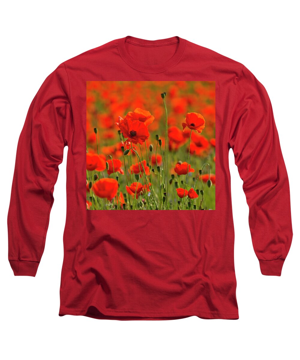 Landscape Long Sleeve T-Shirt featuring the photograph Poppy field 7 by Remigiusz MARCZAK