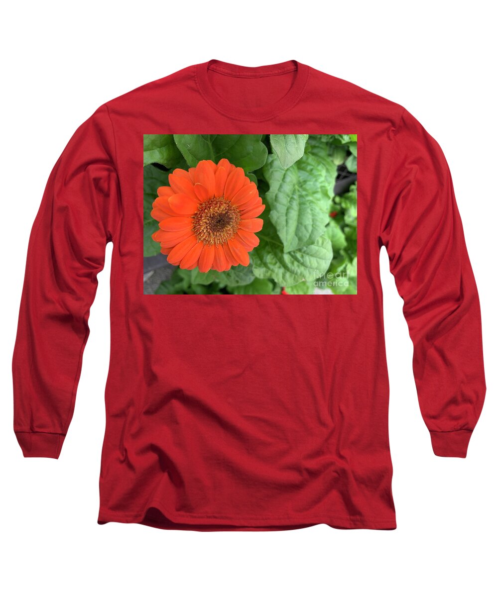 Flowers Long Sleeve T-Shirt featuring the photograph Proud Orange Flower by Catherine Wilson