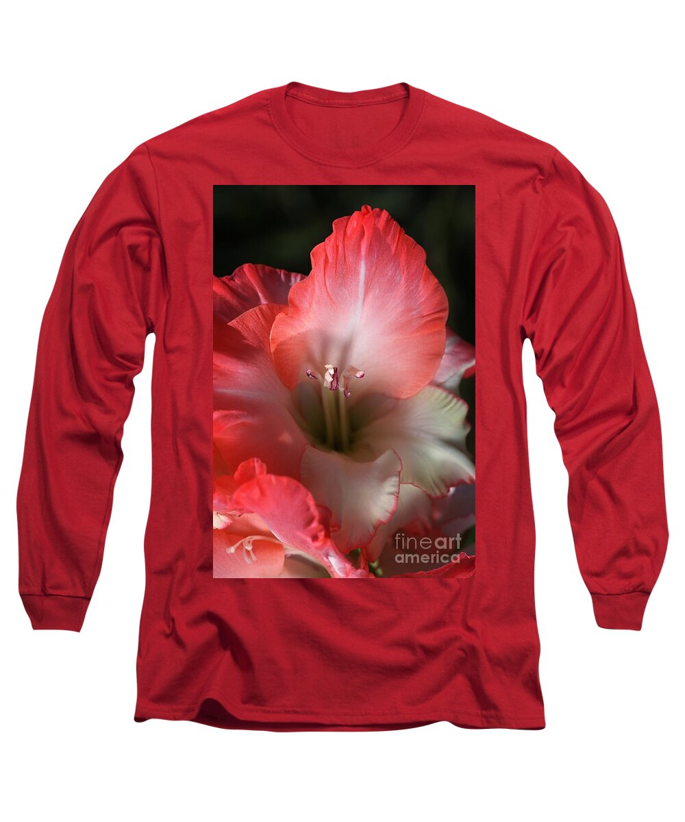 Gladiolus Long Sleeve T-Shirt featuring the photograph Red And White Gladiolus Flower by Joy Watson