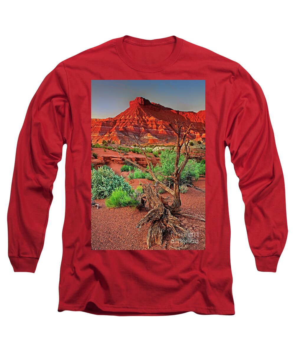 North America Long Sleeve T-Shirt featuring the photograph Red Rock Butte And Juniper Snag Paria Canyon Utah by Dave Welling