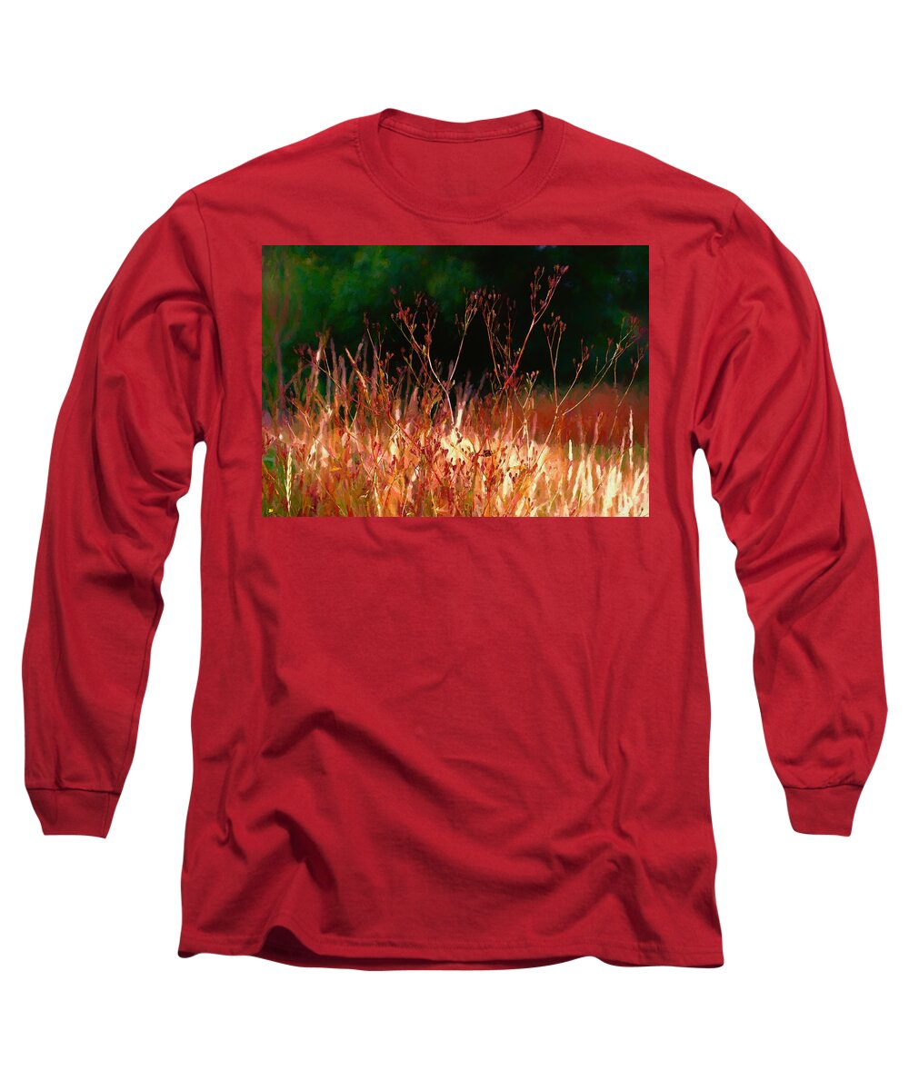 Nature Long Sleeve T-Shirt featuring the mixed media Seedheads II by Charmaine Zoe