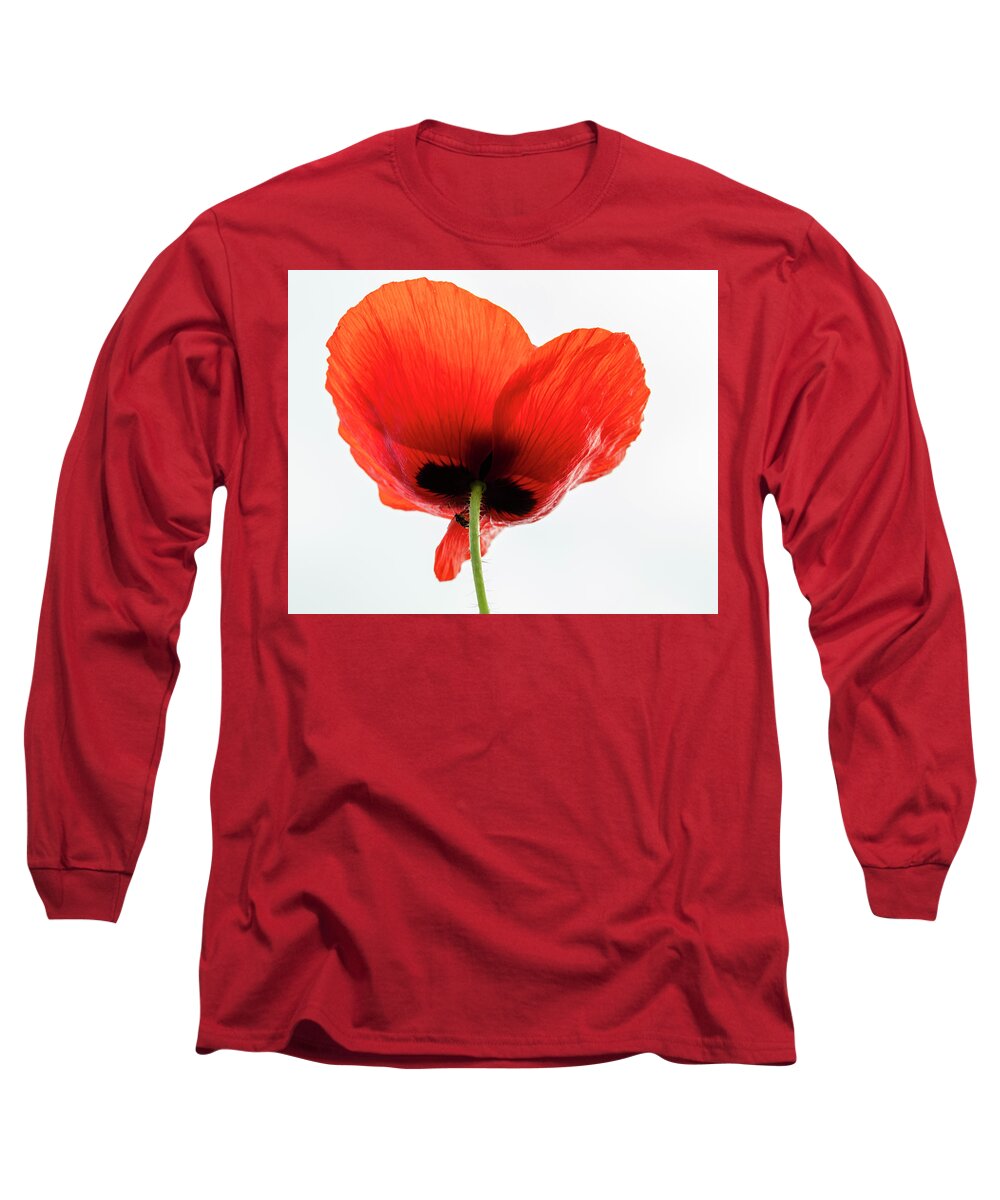 Single Long Sleeve T-Shirt featuring the photograph Single Poppy Looking Up by Catherine Avilez