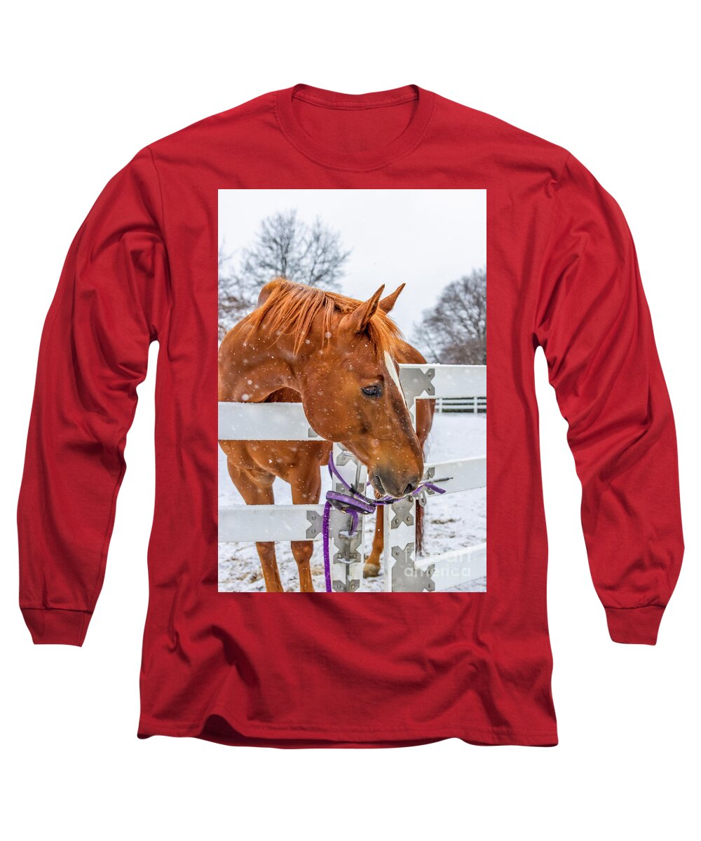 American Long Sleeve T-Shirt featuring the photograph Soulful Creature by Elizabeth Dow