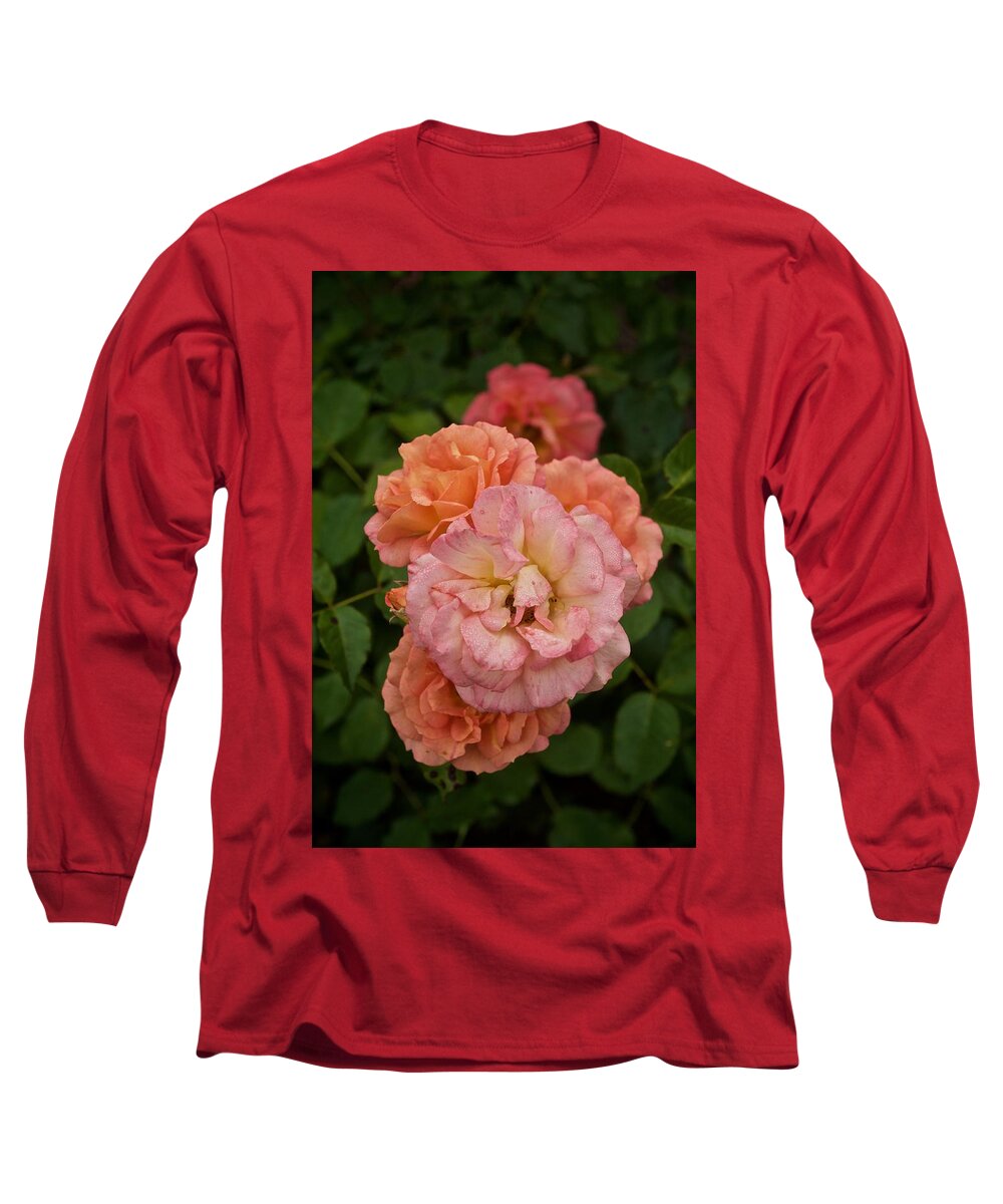 Roses Long Sleeve T-Shirt featuring the photograph The Five Roses Greeting Card by Richard Cummings