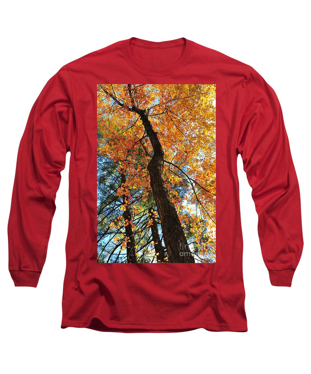 Autumn Long Sleeve T-Shirt featuring the photograph Things Are Looking Up 3 by Terri Gostola