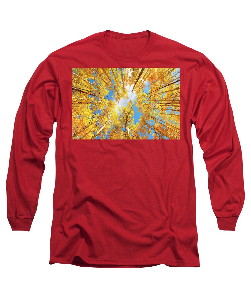 Aspens Long Sleeve T-Shirt featuring the photograph Towering Aspens by Darren White