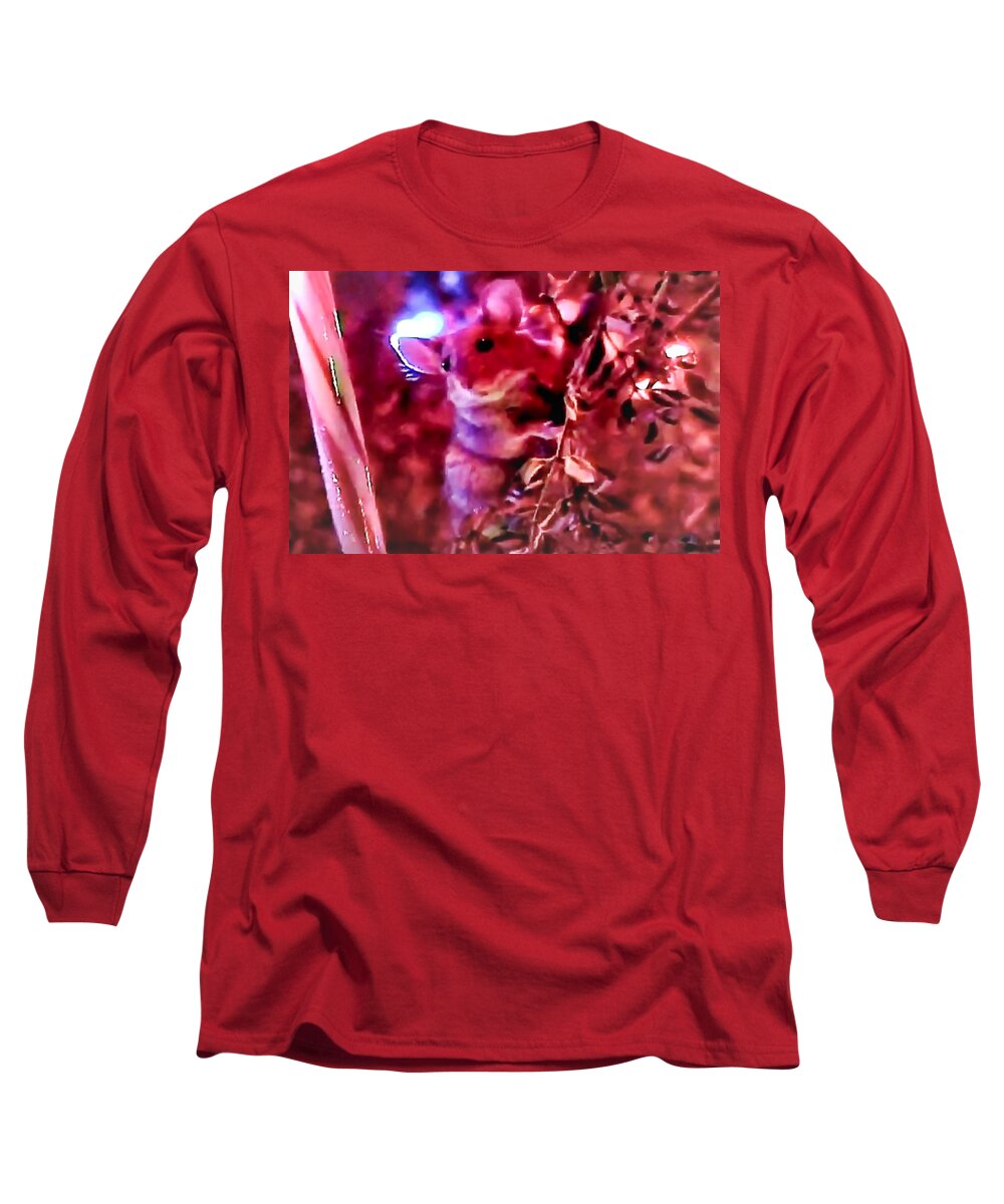 Animal Ornaments Long Sleeve T-Shirt featuring the photograph Wild Mouse in Christmas Tree by Judy Kennedy