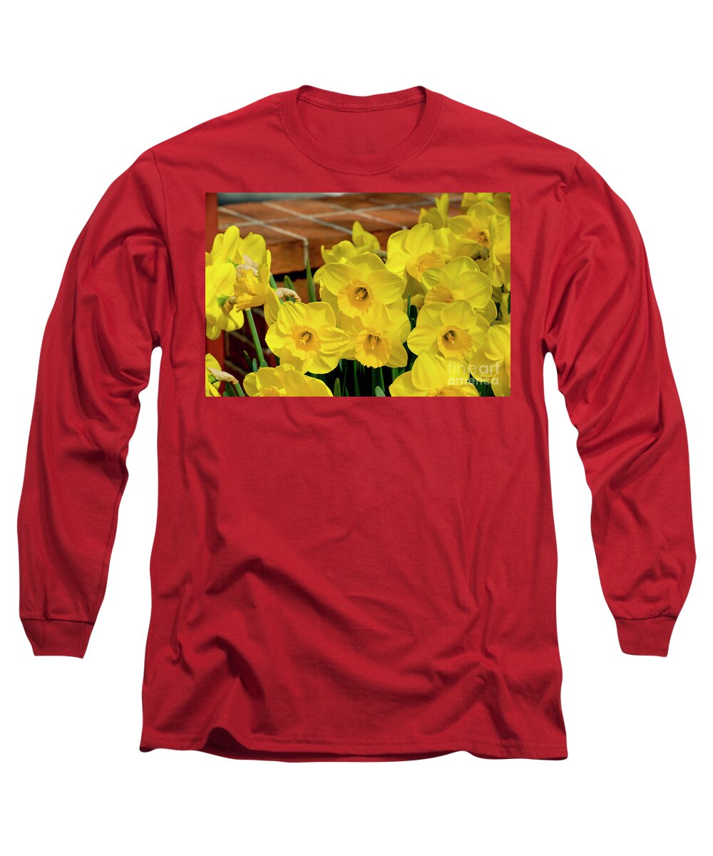 Daffodils Long Sleeve T-Shirt featuring the photograph Yellow Daffodils, 1 by Glenn Franco Simmons